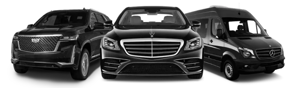 home-cars-copia3-1024x309